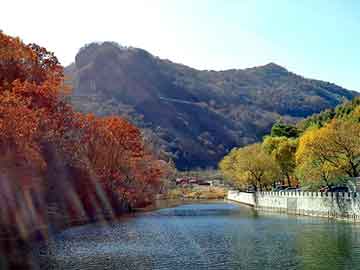 新澳天天开奖资料大全旅游团，丰田花冠论坛